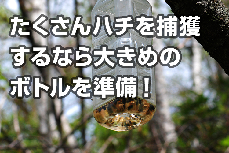 蜂のトラップをペットボトルで作って退治 捕獲法と注意点まとめ ハチ110番