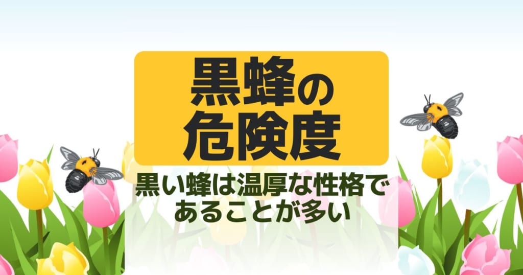 黒い蜂は温厚な性格であることが多い