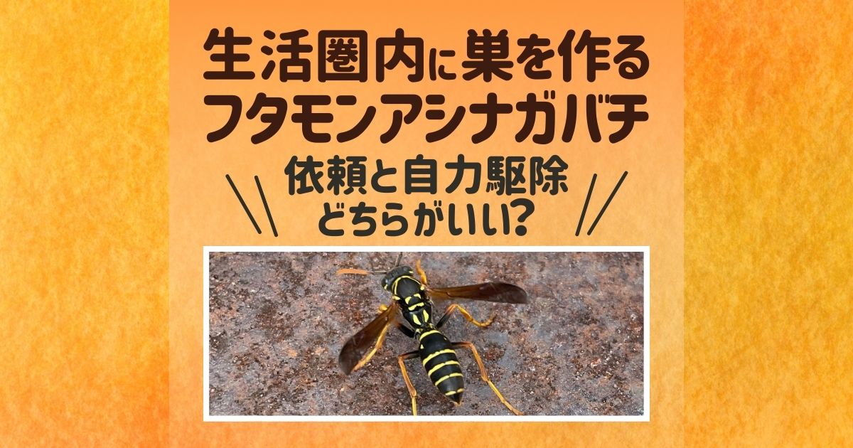 図説 社会性カリバチの生態と進化 |本 | 通販 | Amazon