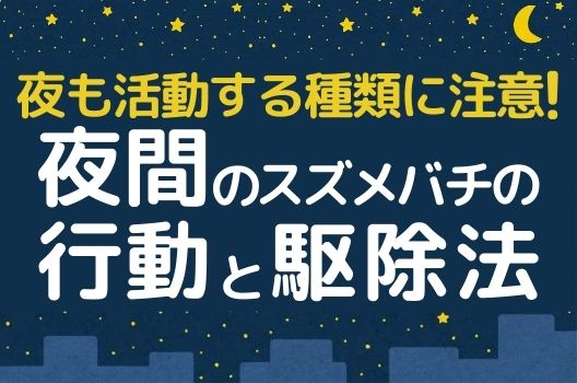 夜も活動するスズメバチに注意 生態を知って刺されず安全に駆除 ハチ110番
