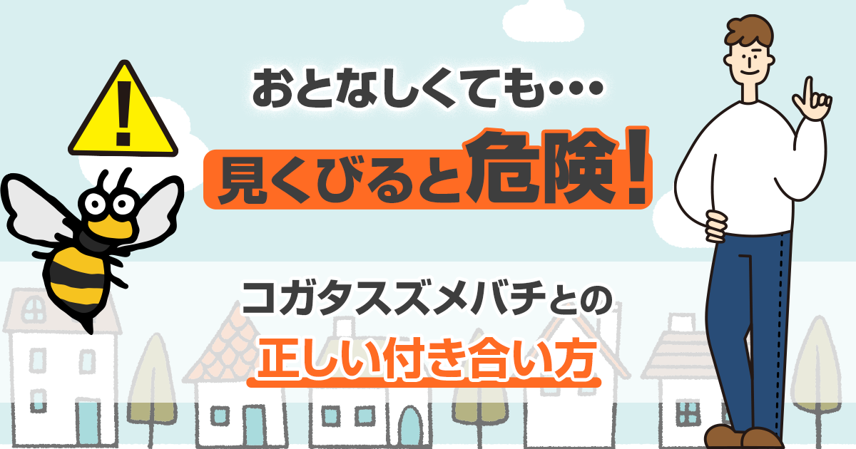 コガタスズメバチとの正しい付き合い方。おとなしくても見くびると危険！