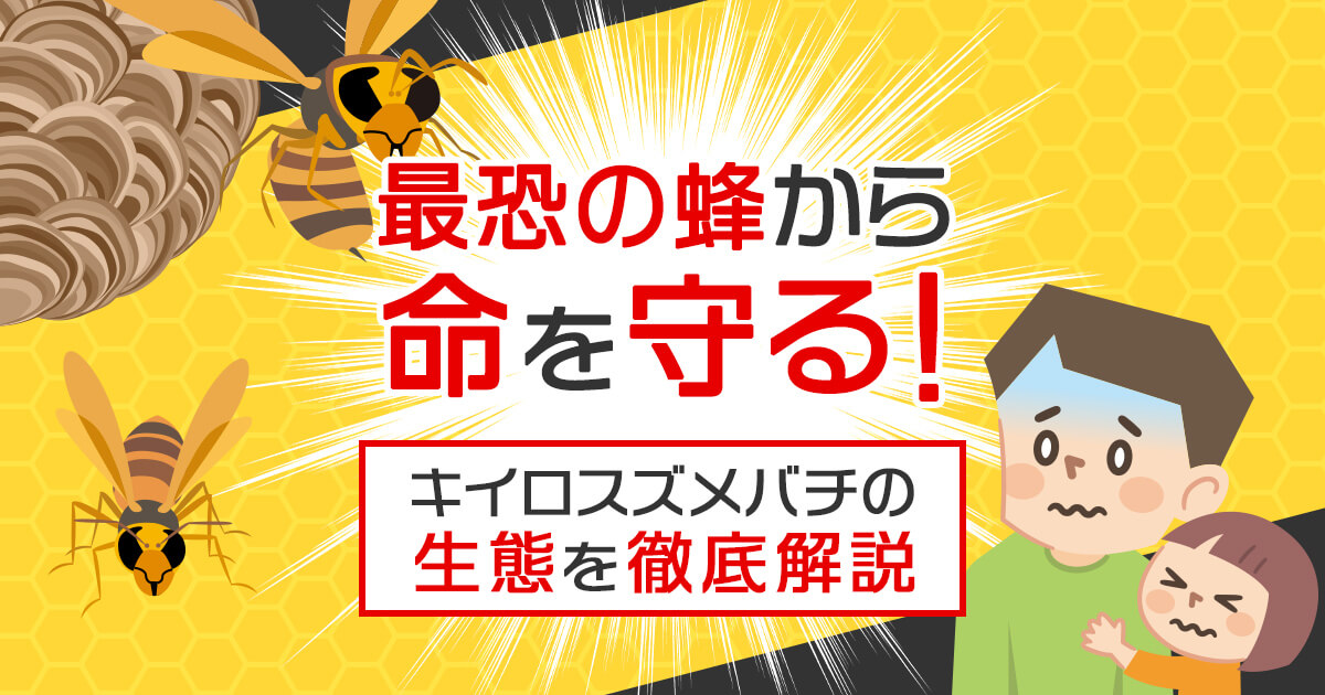 キイロスズメバチの生態を徹底解説