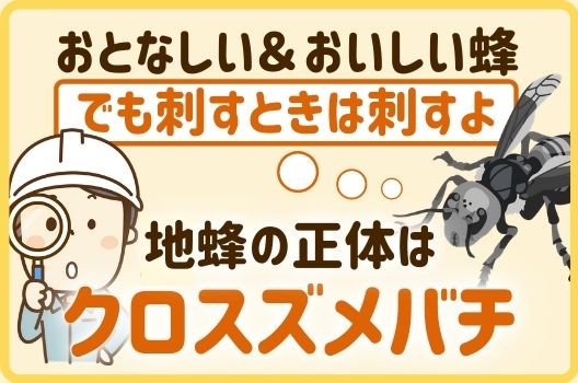 ハキリバチはバラの葉を狙う 特徴から駆除方法なども詳しくご紹介 ハチ110番