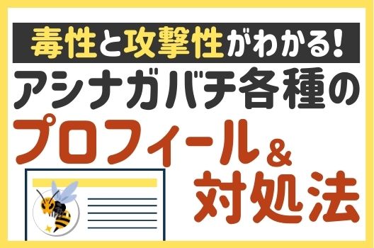 部屋の蜂を追い払う方法 軒下チェック 予防 木酢液 蚊取り線香 ハチ110番