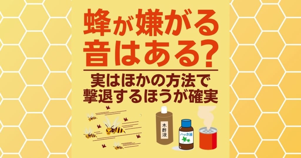 蜂が嫌がる音はある？ 実はほかの方法で撃退するほうが確実