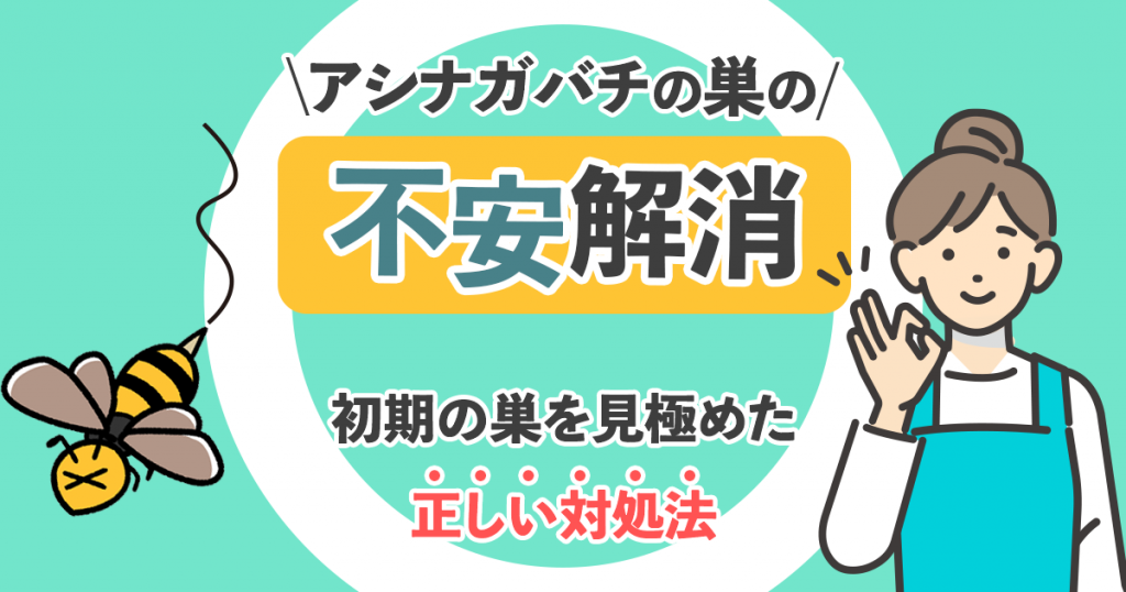 アシナガバチの巣の不安解消　初期の巣を見極めた正しい対処法