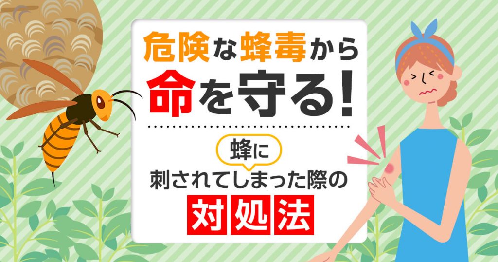 蜂に刺されてしまった際の対処法。危険な蜂毒から命を守る！