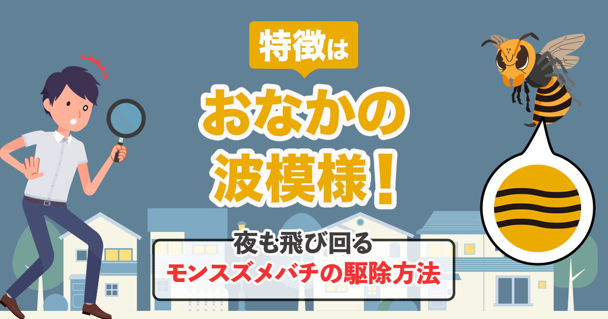 モンスズメバチは夜も飛び回る。特徴はおなかの波模様！