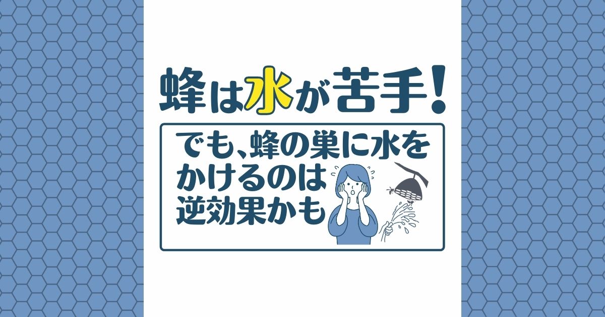 蜂は水が苦手！ でも、蜂の巣に水をかけるのは逆効果かも