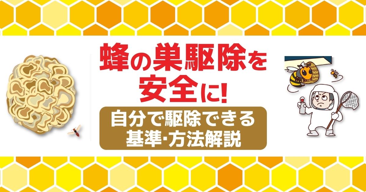 蜂の巣駆除を自分でやる方法と安全に駆除できる基準