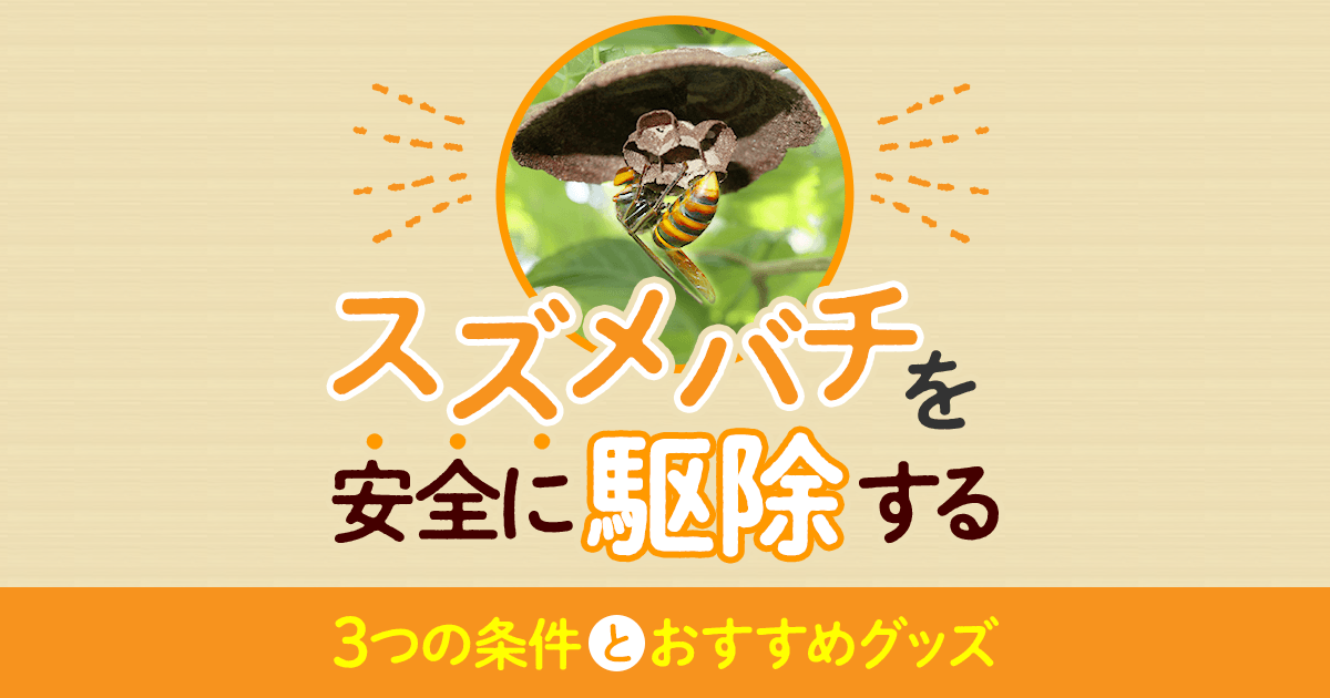 自力でスズメバチを駆除する方法と条件