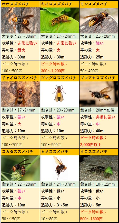 殺人スズメバチの種類を画像でサクッと判断 大きさ 色 巣で見分けて対処する方法 ハチ110番