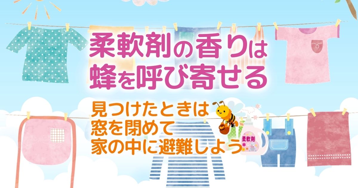 柔軟剤の香りは蜂を呼び寄せる　見つけたときは窓を閉めて家の中に避難しよう