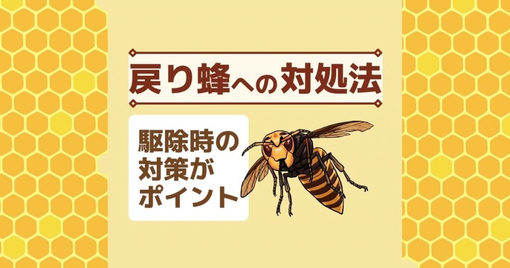 戻り蜂への対処法　駆除時の対策がポイント