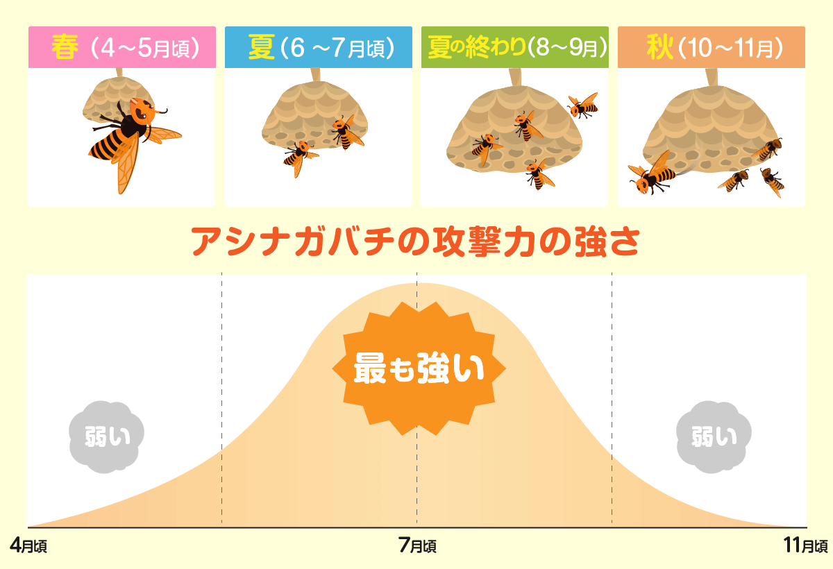 アシナガバチ　攻撃性　高い時期