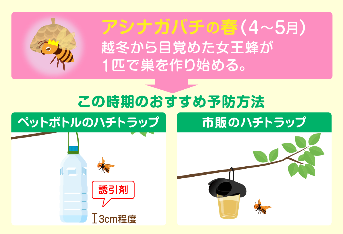 アシナガバチ　春　予防方法