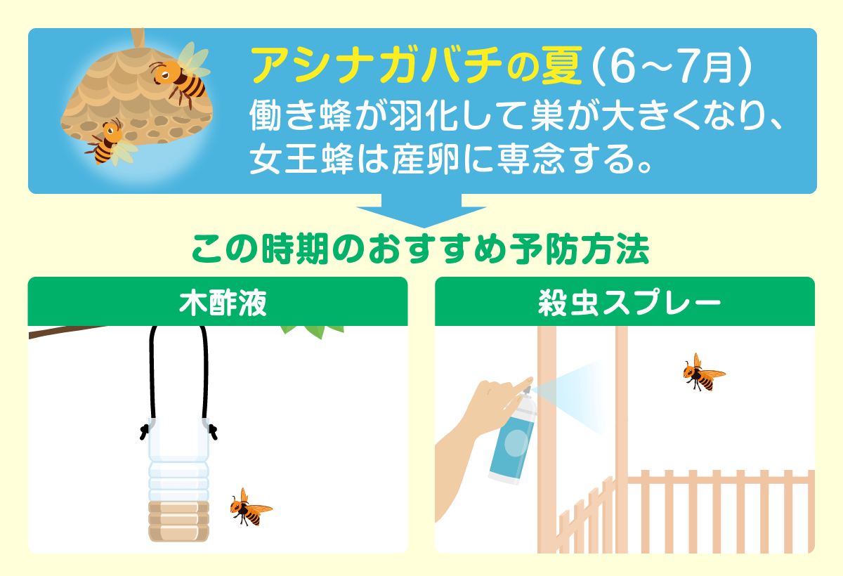 アシナガバチ　夏　予防方法