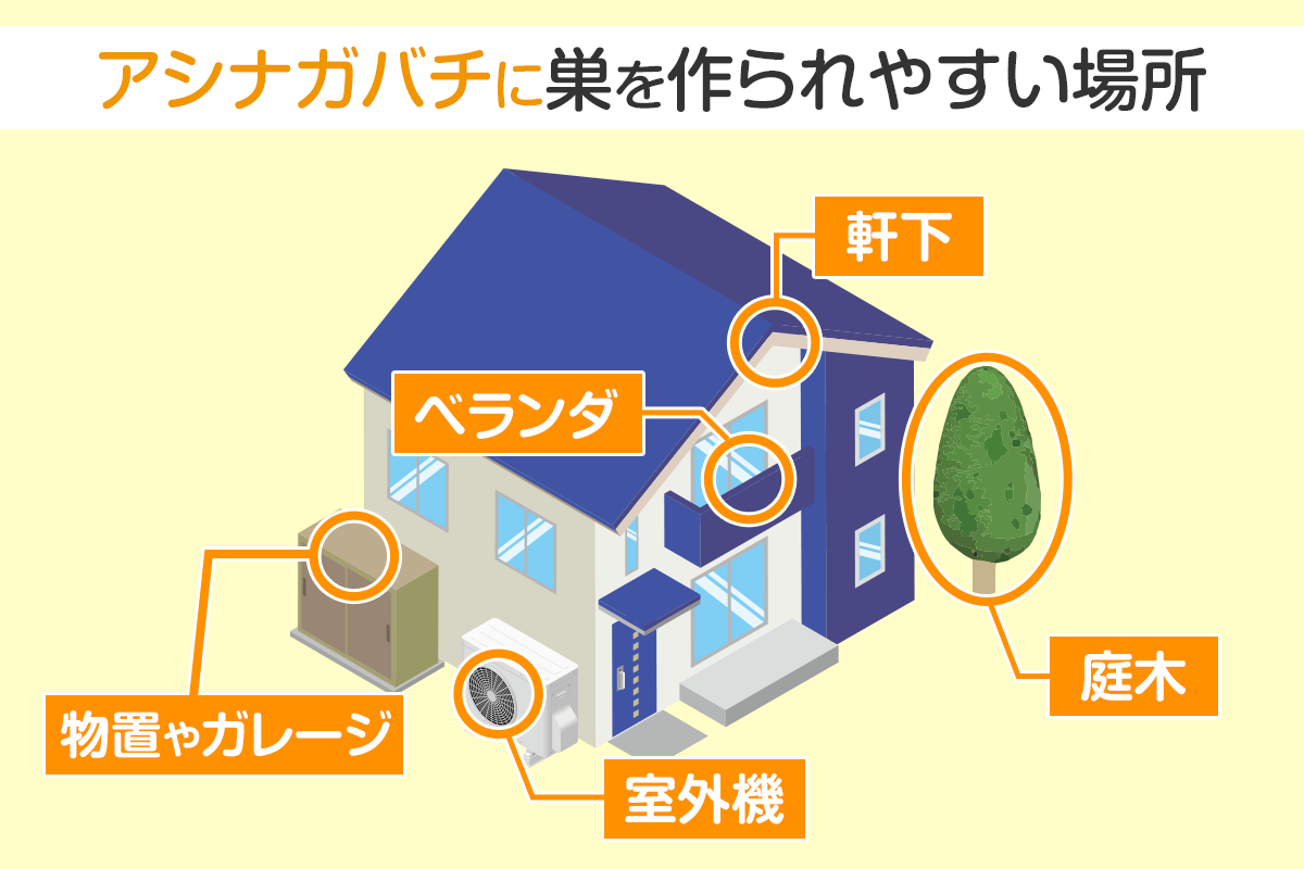 アシナガバチに巣を作られやすい場所