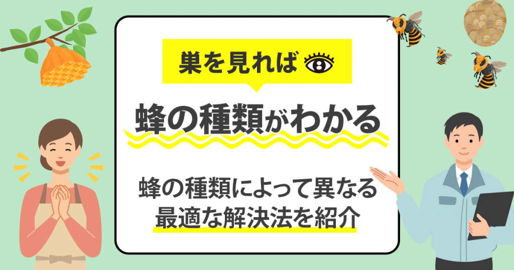 蜂の巣の種類がわかる！蜂の種類によって異なる最適な解決法を紹介