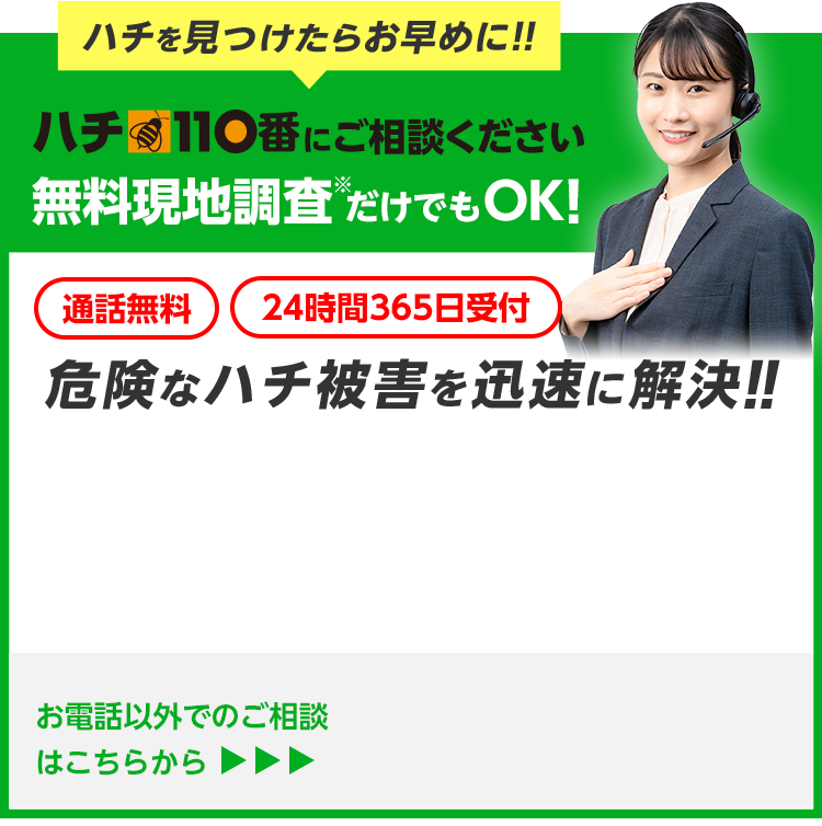 今すぐお電話で無料相談!ハチ110番