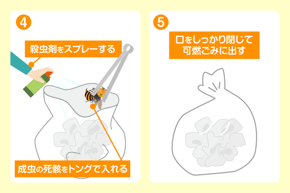 つぶした蜂の巣を捨てる