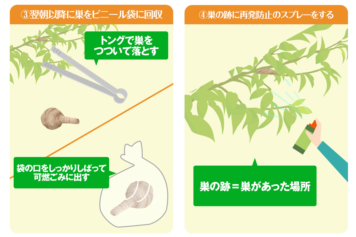 スズメバチの巣の駆除方法3