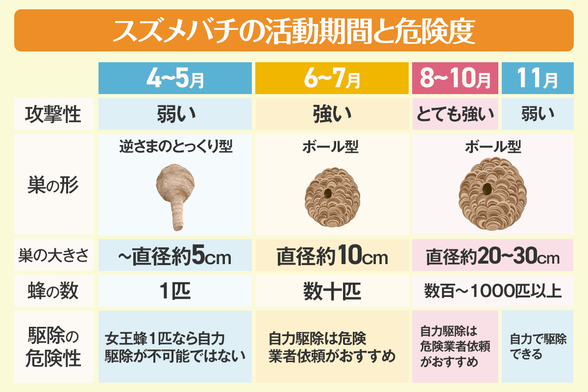 スズメバチの活動期間と危険度