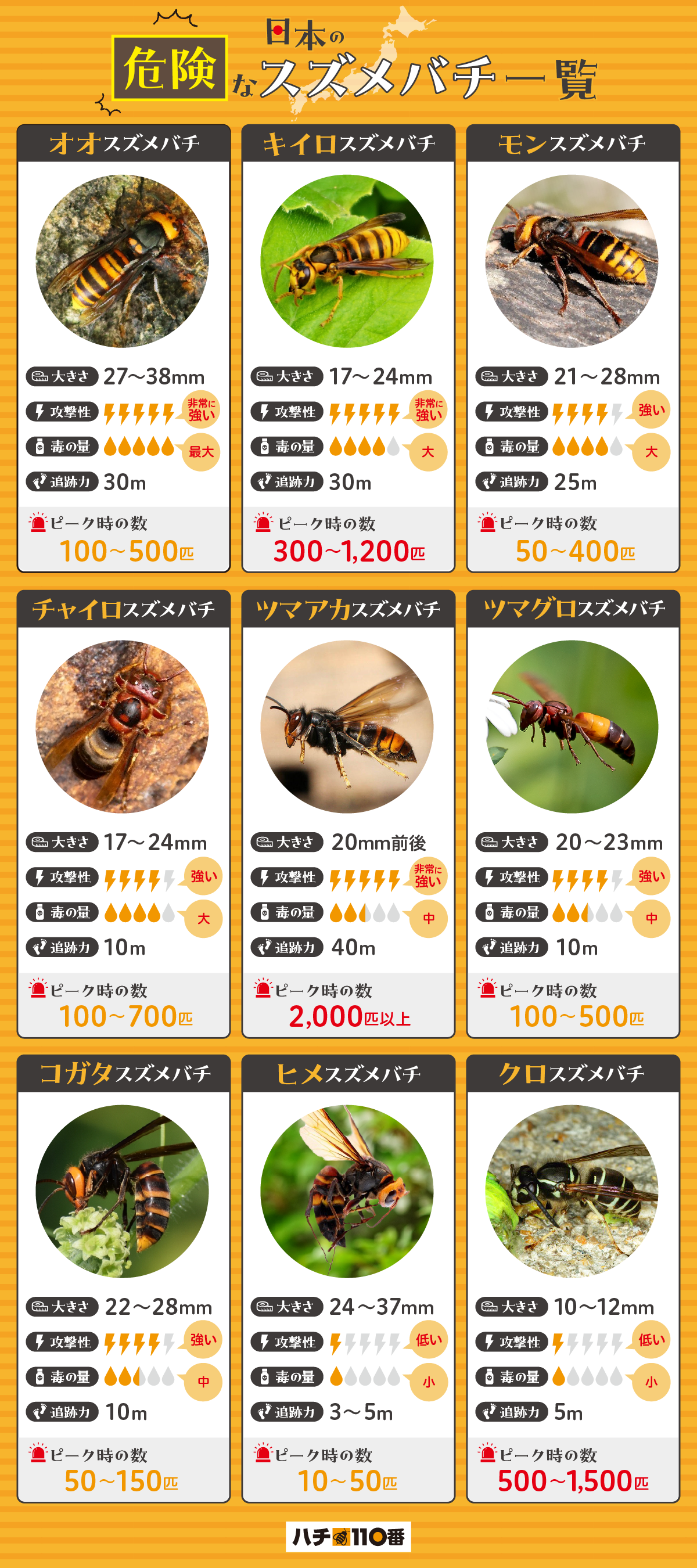 日本の危険なスズメバチ一覧