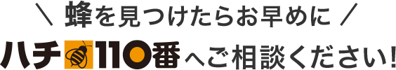 蜂を見つけたらお早めにハチ110番へご相談ください！