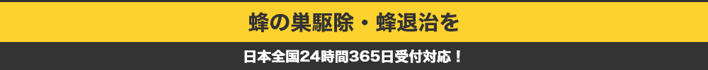 蜂の巣駆除・蜂退治を日本全国24時間365日受付対応！！