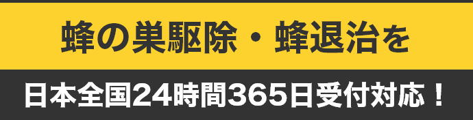 蜂の巣駆除・蜂退治を日本全国24時間365日受付対応！