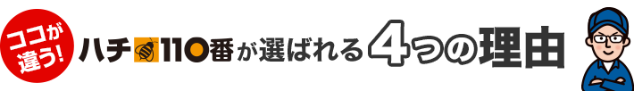 ハチ110番が選ばれる4つの理由