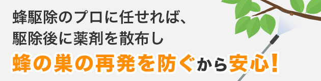 蜂駆除のプロに任せれば、駆除後に薬剤を散布し蜂の巣の再発を防くから安心！