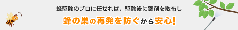蜂駆除のプロに任せれば、駆除後に薬剤を散布し蜂の巣の再発を防くから安心！