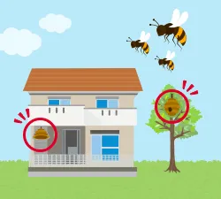 ハチの種類、巣の大きさ、巣の場所、足元から巣までの高さ、
ご住所情報をいただければ現地スタッフよりおおよその金額を
お伝えさせていただくことも可能です。