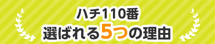 ハチ110番が選ばれる5つの理由