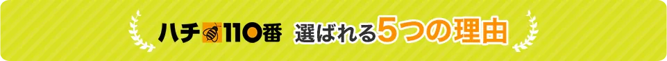 ハチ110番が選ばれる5つの理由