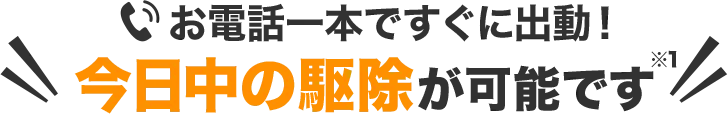 お電話一本ですぐに出動！今日中の駆除が可能です。