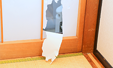 障子が破れた
