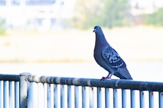 業者に依頼するメリット