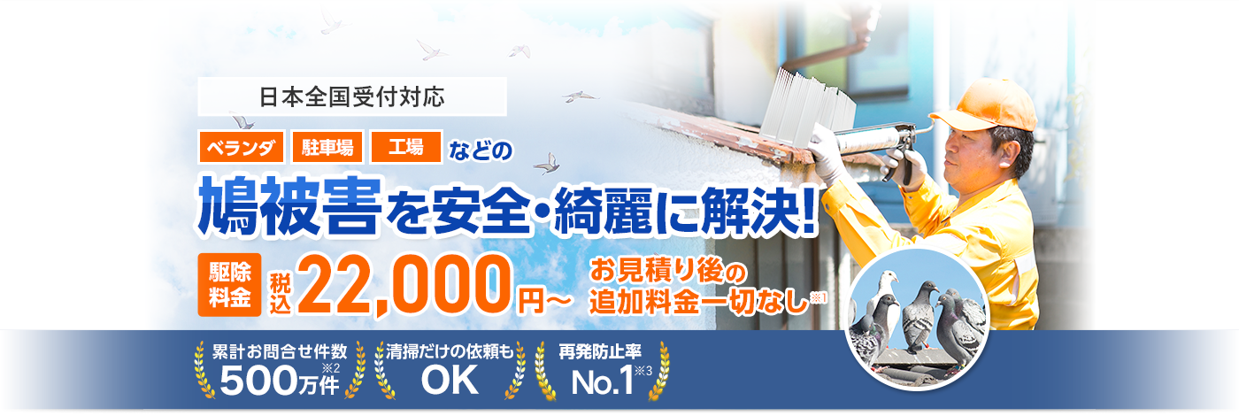 鳩被害を安全・きれいに解決！