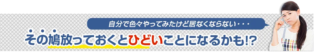 自分で色々やってみたけど居なくならない放っておくとひどいことに!?