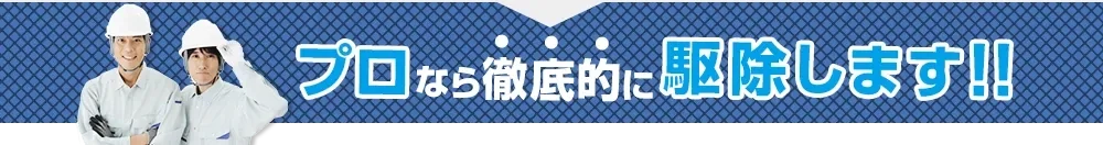 プロなら徹底的に駆除します
