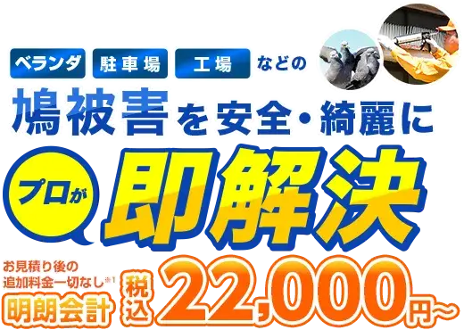 「ベランダ」「駐車場」「工場」などの鳩被害を安全・綺麗にプロが解決！ お見積り後の追加料金一切なし