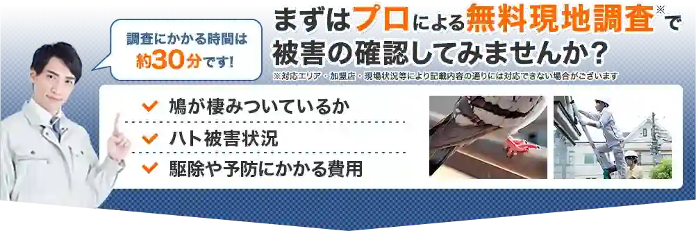調査にかかかる時間は約30分です！　まずはプロによる無料現地調査で被害の確認してみませんか？