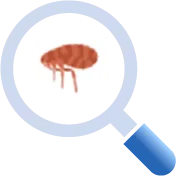 ダニ・シラミ・ノミ