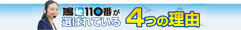 鳩110番が選ばれる4つの理由