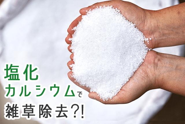 塩化カルシウムは除草のお役立ちアイテム！おトクに雑草を除去しよう