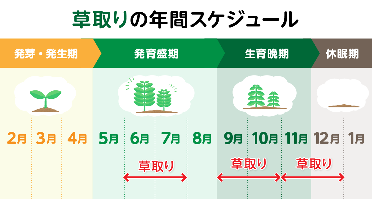 草取りのタイミング