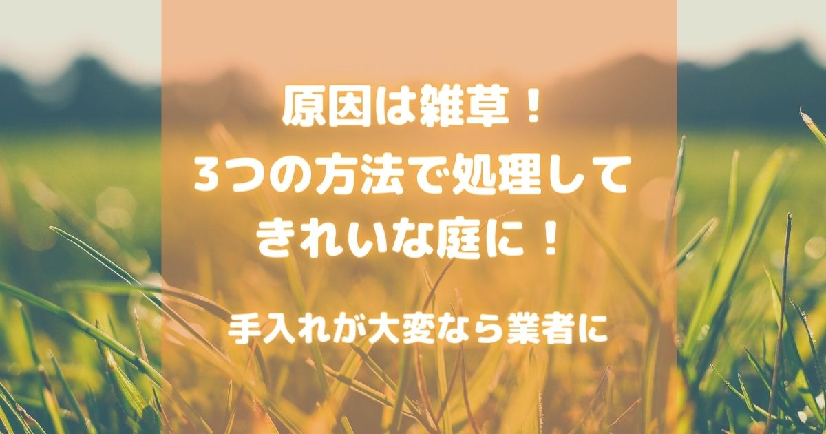 原因は雑草！３つの方法で処理してきれいな庭に！手入れが大変なら業者に